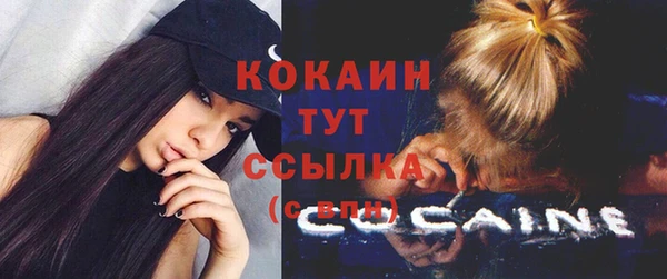 гидра Карпинск